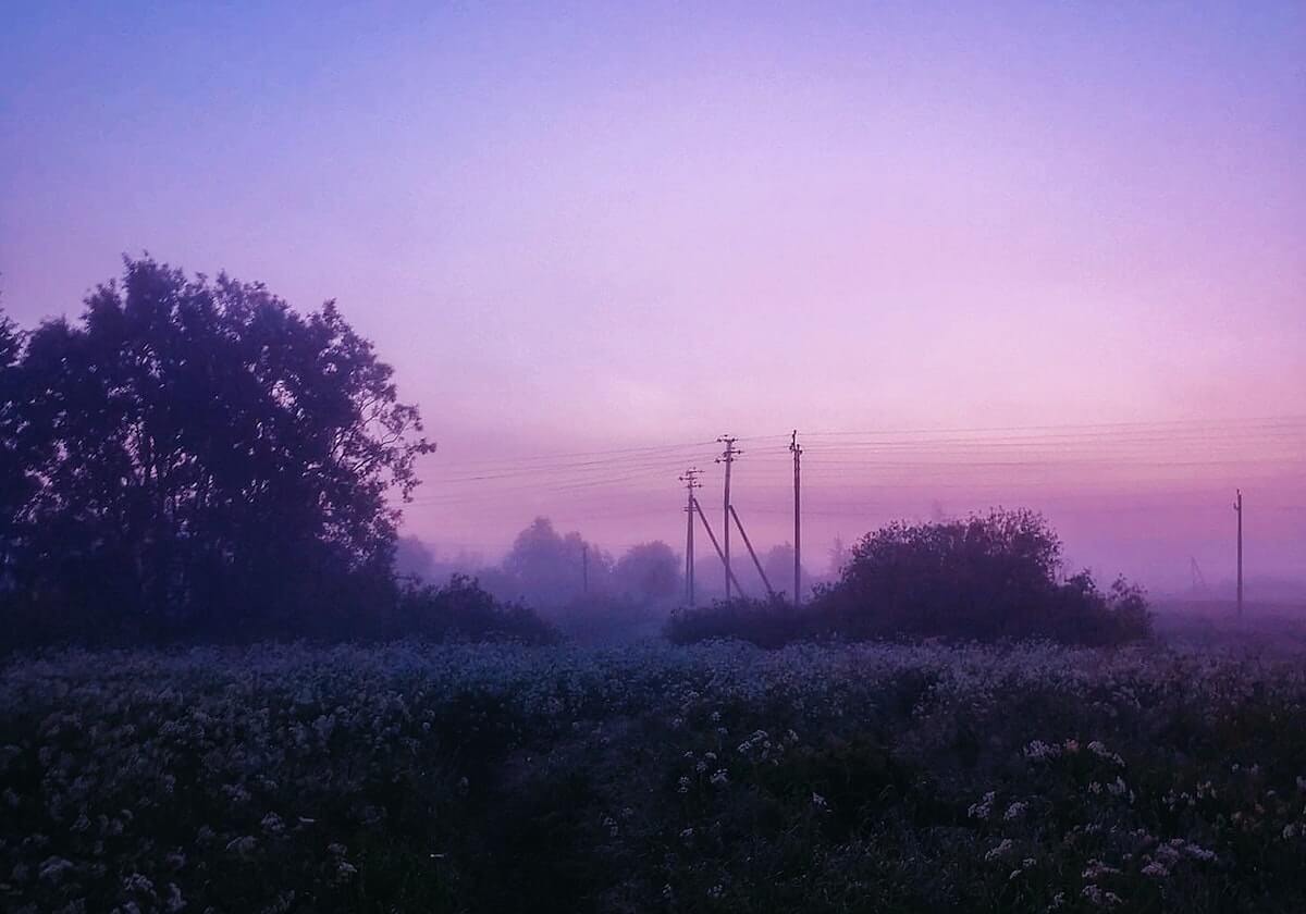 世界杯高清直播官网-农业农村部：对部分地方高标准农田建设中存在的问题，开展专项整治